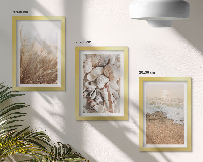 Photo frame wall Beach motifs with shells and sea waves