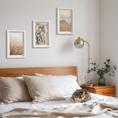 Photo frame wall Beach motifs with shells and sea waves