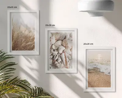 Photo frame wall with beach, shell, and sea wave motifs