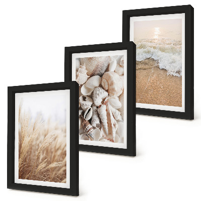 Photo frame wall Beach motifs with shells and sea waves