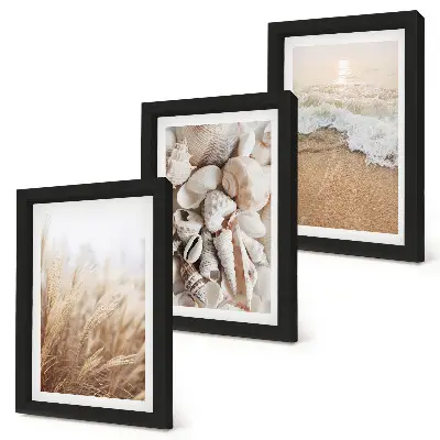 Photo frame wall with beach, shell, and sea wave motifs