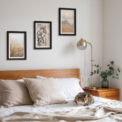 Photo frame wall Beach motifs with shells and sea waves