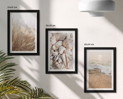 Photo frame wall Beach motifs with shells and sea waves