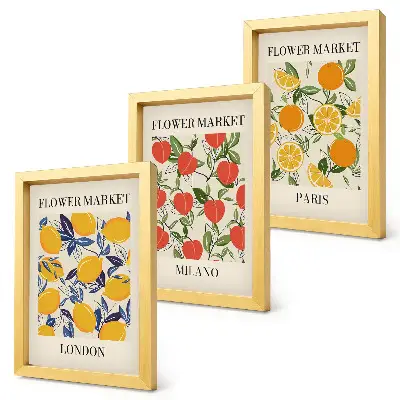 Floral posters in London, Milan and Paris framed triptych