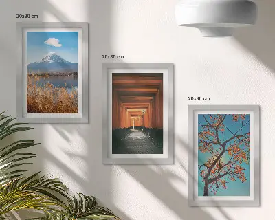 Photo frame wall featuring Japanese landscapes, nature, and architecture