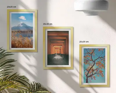 Photo frame wall featuring Japanese landscapes, nature, and architecture