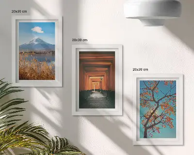 Photo frame wall featuring Japanese landscapes, nature, and architecture
