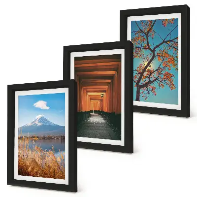 Photo frame wall featuring Japanese landscapes, nature, and architecture