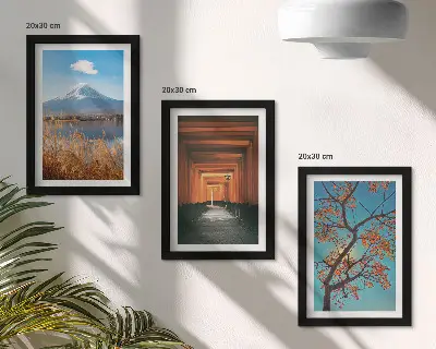 Photo frame wall featuring Japanese landscapes, nature, and architecture