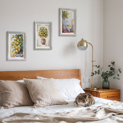 Photo frame wall Lemon trees and fruit in a sunny setting