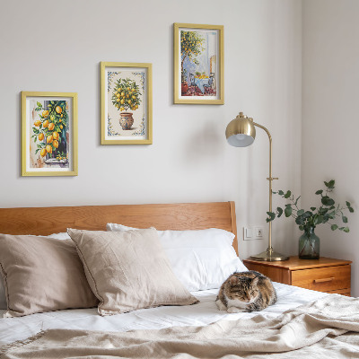 Photo frame wall Lemon trees and fruit in a sunny setting