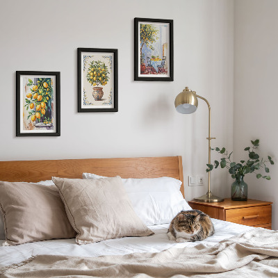 Photo frame wall Lemon trees and fruit in a sunny setting
