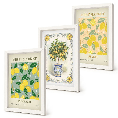 Framed triptych Citrus tree and fruit Italian posters