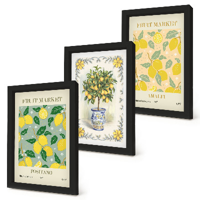 Framed triptych Citrus tree and fruit Italian posters