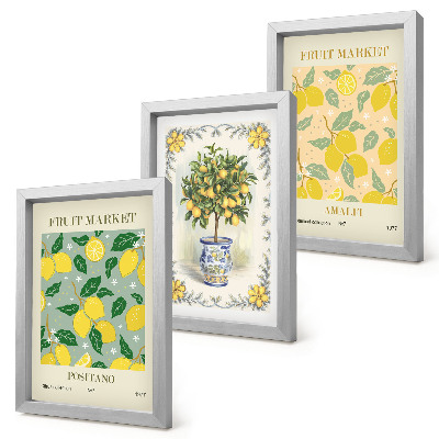 Framed triptych Citrus tree and fruit Italian posters
