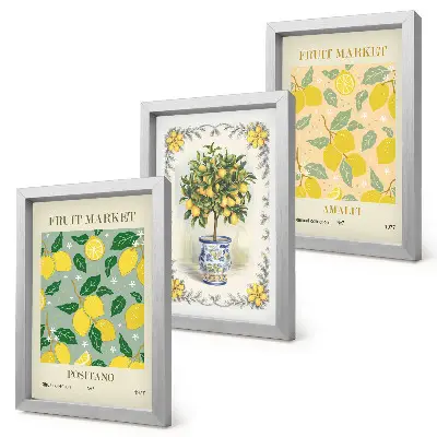 Citrus tree and fruit Italian posters framed triptych