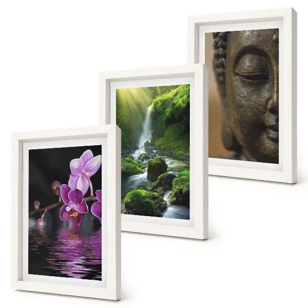 Waterfall and lotus flowers triptych wall art framed