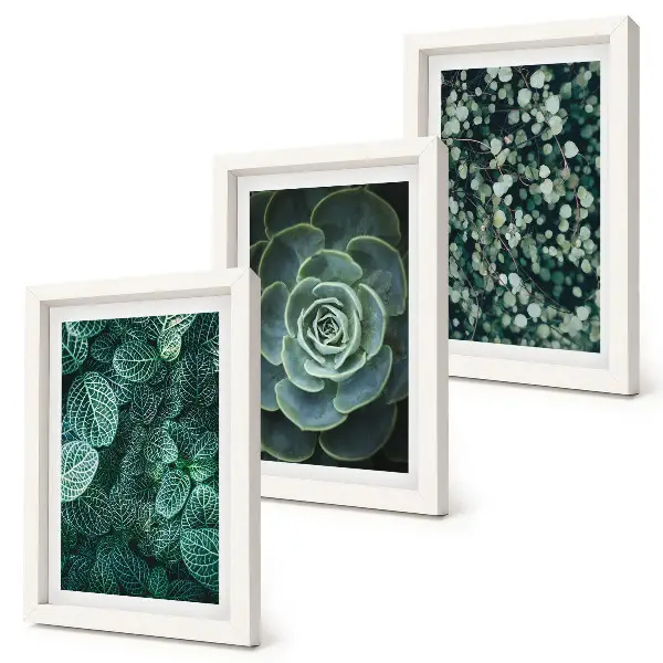 Photo frame wall with green succulent leaves and delicate twigs