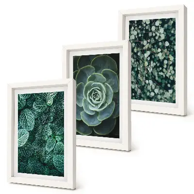 Photo frame wall with green succulent leaves and delicate twigs