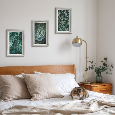 Photo frame wall Green leaves of succulent plants and delicate twigs