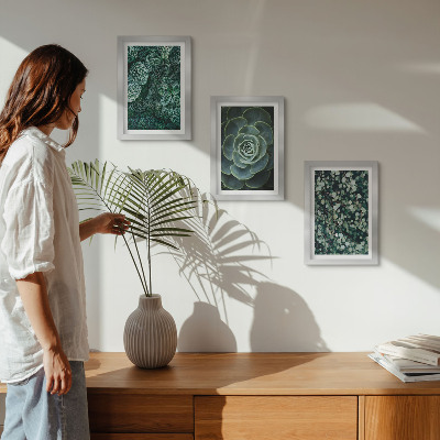 Photo frame wall Green leaves of succulent plants and delicate twigs