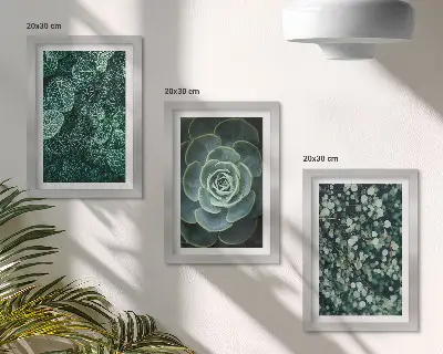 Photo frame wall with green succulent leaves and delicate twigs