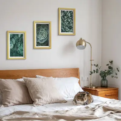 Photo frame wall with green succulent leaves and delicate twigs
