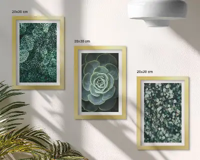 Photo frame wall with green succulent leaves and delicate twigs