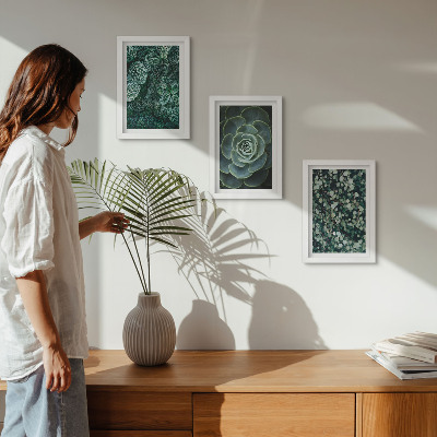 Photo frame wall Green leaves of succulent plants and delicate twigs