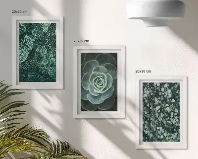 Photo frame wall with green succulent leaves and delicate twigs