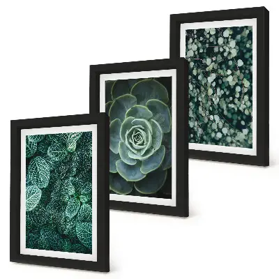 Photo frame wall with green succulent leaves and delicate twigs