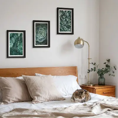 Photo frame wall with green succulent leaves and delicate twigs
