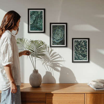 Photo frame wall Green leaves of succulent plants and delicate twigs