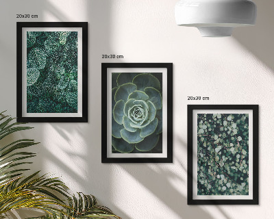 Photo frame wall Green leaves of succulent plants and delicate twigs