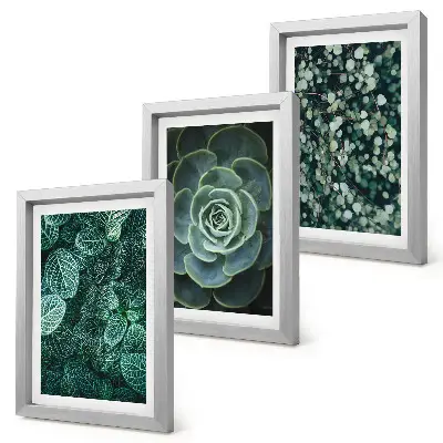 Photo frame wall with green succulent leaves and delicate twigs