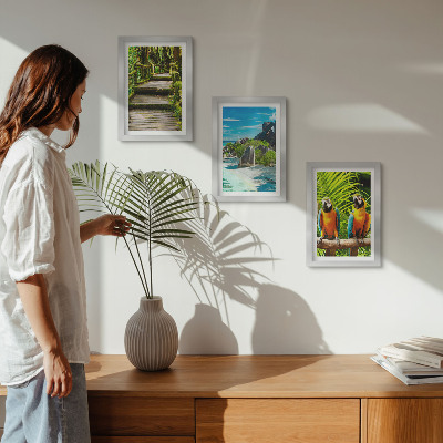 Photo frame wall Tropical forest with a waterfall and colorful parrots