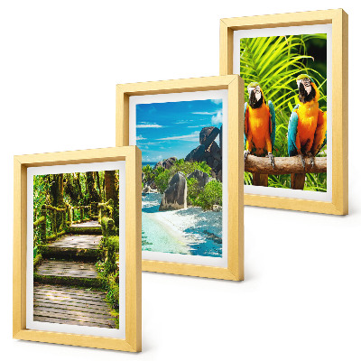 Photo frame wall Tropical forest with a waterfall and colorful parrots