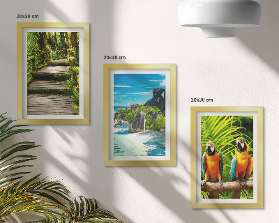 Photo frame wall Tropical forest with a waterfall and colorful parrots