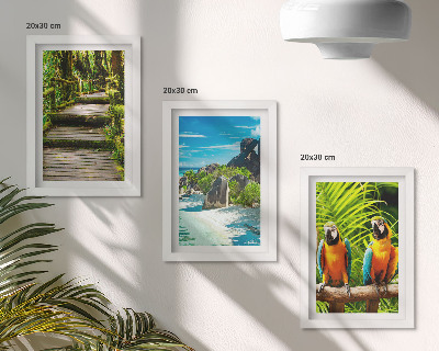 Photo frame wall Tropical forest with a waterfall and colorful parrots