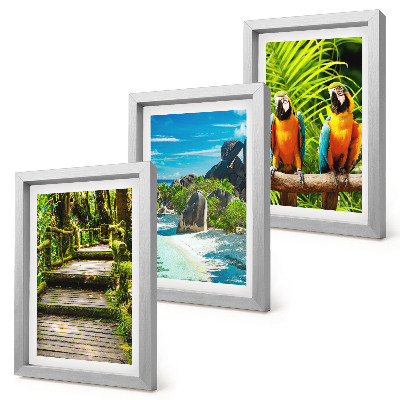 Photo frame wall Tropical forest with a waterfall and colorful parrots
