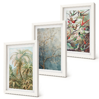 Photo frame wall Tropical plants and colorful birds in nature