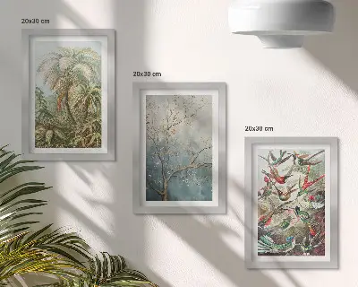 Photo frame wall with tropical plants and colorful birds in nature design