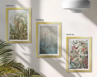 Photo frame wall with tropical plants and colorful birds in nature design