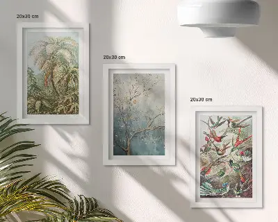 Photo frame wall with tropical plants and colorful birds in nature design
