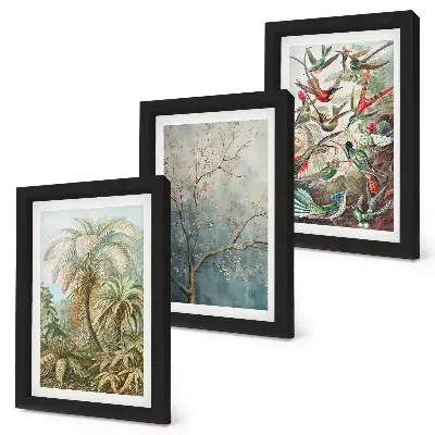Photo frame wall with tropical plants and colorful birds in nature design