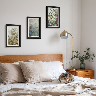 Photo frame wall Tropical plants and colorful birds in nature