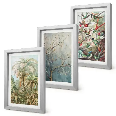 Photo frame wall with tropical plants and colorful birds in nature design