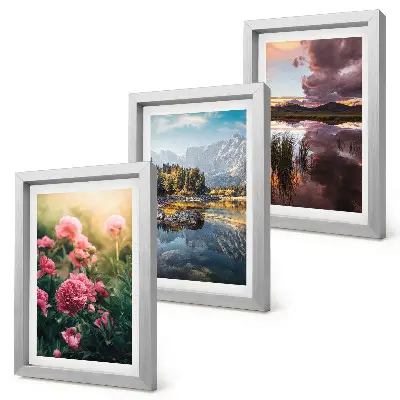 Photo frame wall featuring flowers in a garden, mountains, and a calm water surface