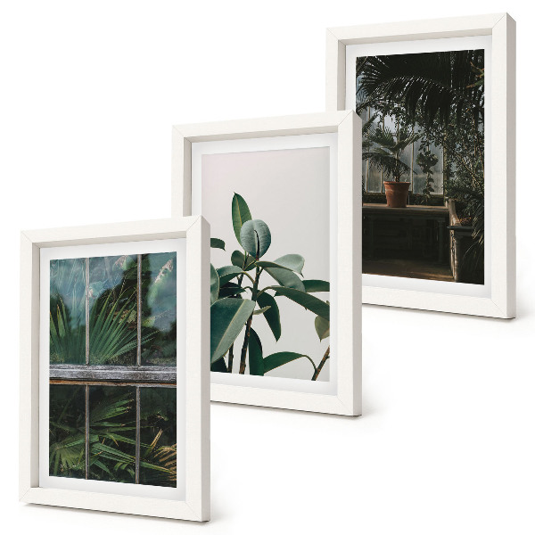 Framed triptych Green leaves on the window and plants inside