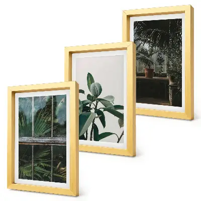 Green leaves and indoor plants triptych framed wall art set